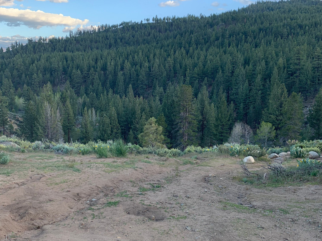 Buckeye Hot Spring-布里奇波特必去景点