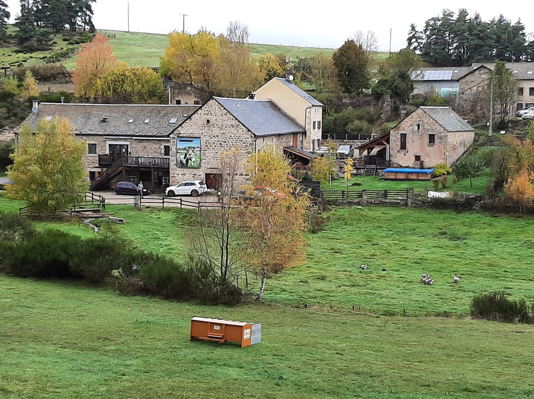 Logis Hôtel les Granges de Bigose主图