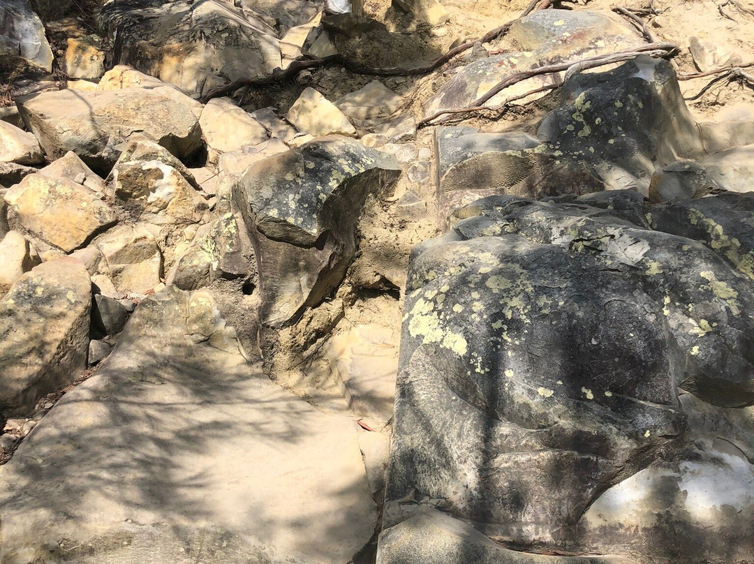 Mount Cooroora景点图片