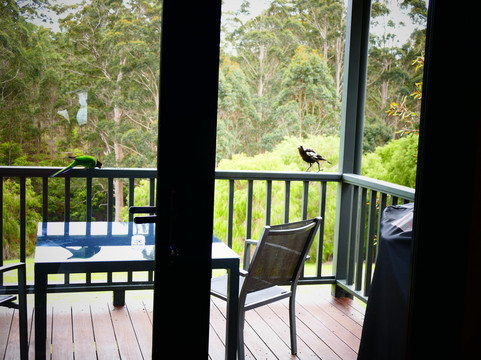 Rainbow Trail Chalets主图