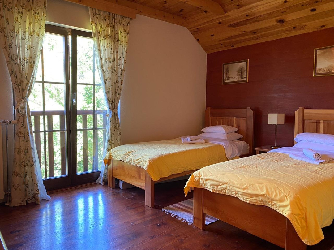 Rooms and Apartments Mirovic主图