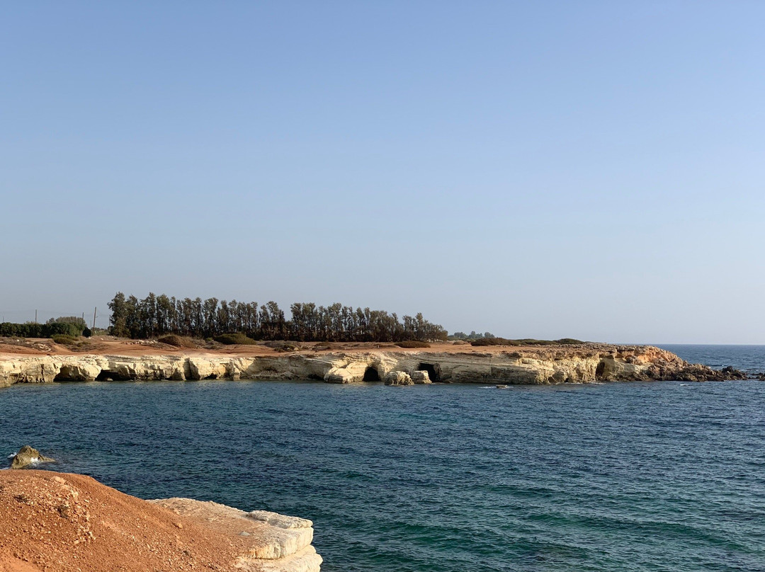 M/V EDRO III-帕福斯必去景点