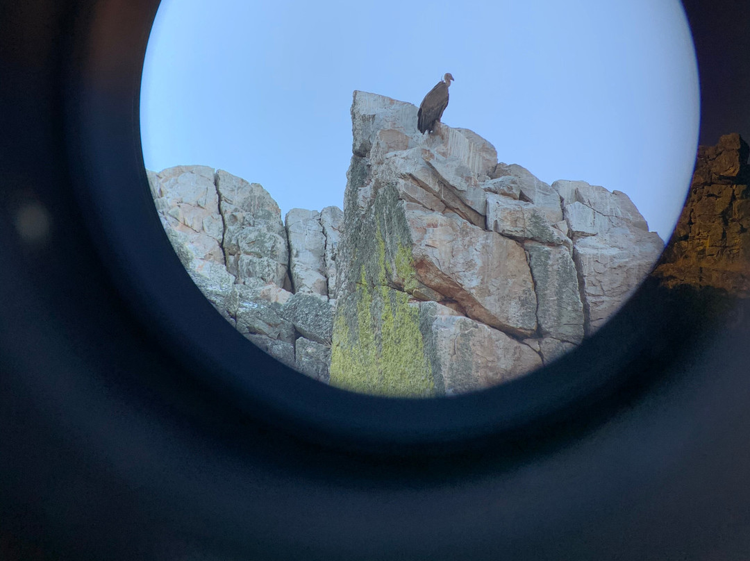 Birding Holidays景点图片