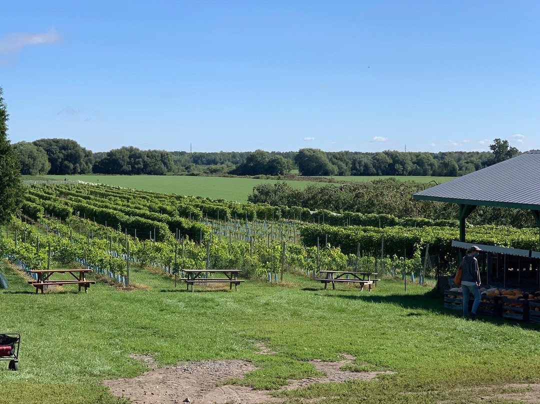 Centre d'Interpretation de la Courge du Quebec-Saint-Joseph-du-Lac必去景点