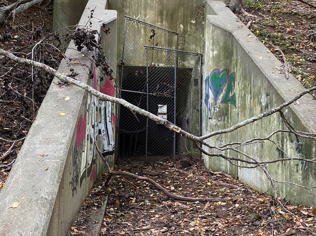 Hartshorne Woods Park-Highlands必去景点