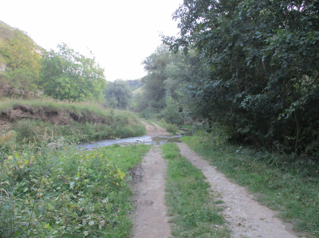 Olkhovka River景点图片