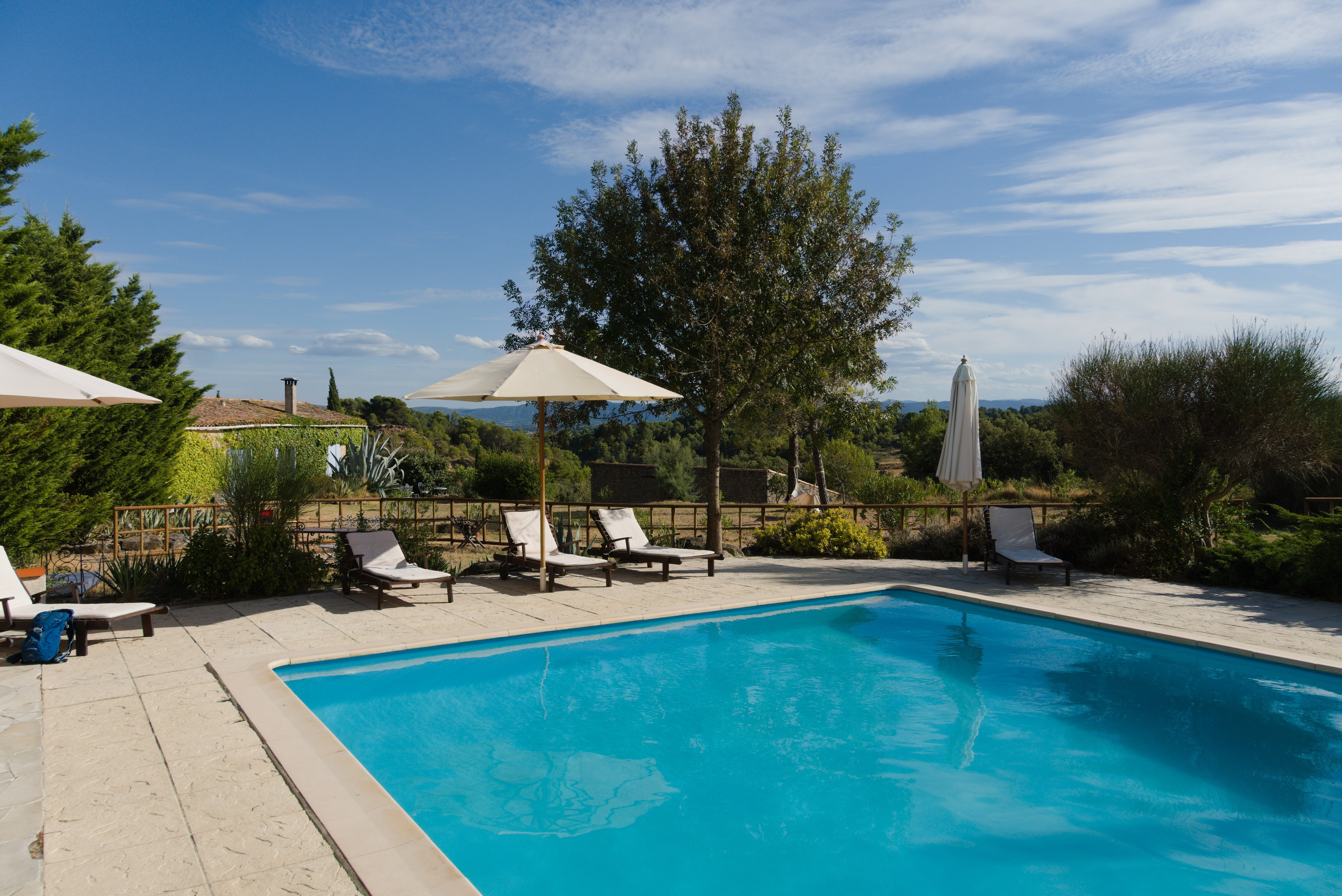 Domaine de Palatz-泳池