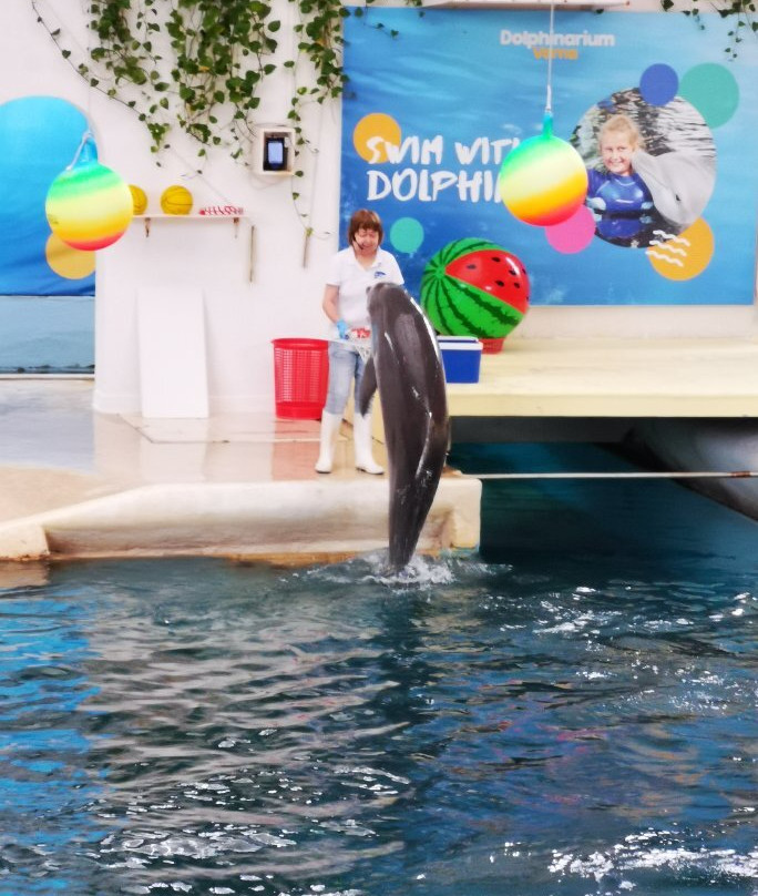 Dolphinarium-瓦尔纳必去景点