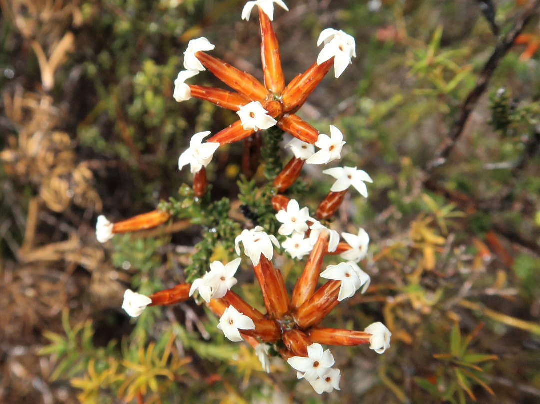 East Mount Barren-Hopetoun必去景点