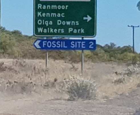 Richmond Fossil Hunting Sites-Richmond必去景点