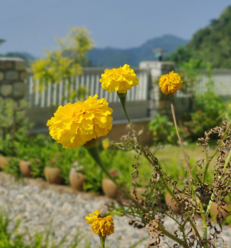 Villa Kaathkuni Homes主图