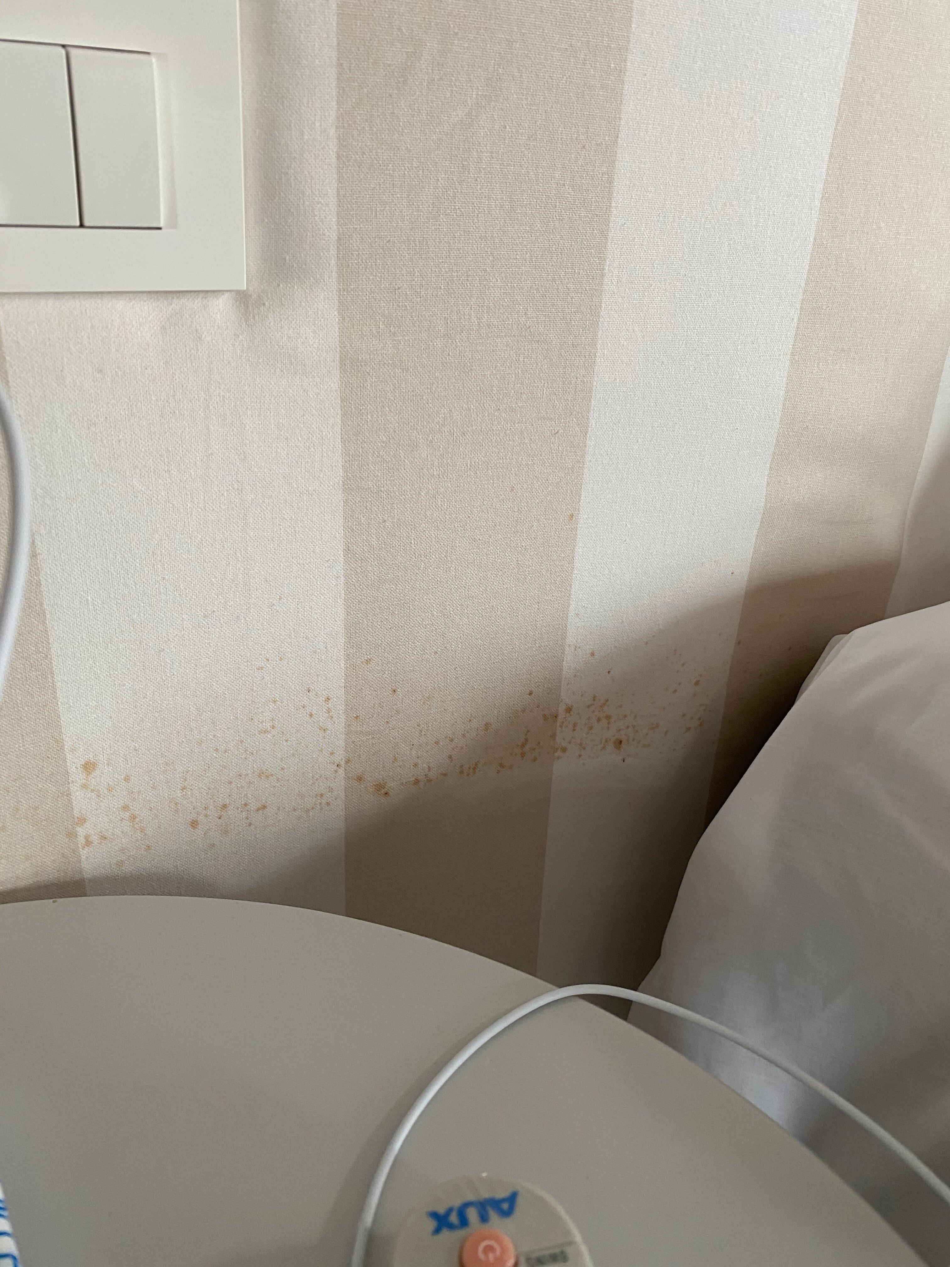 Eliá Betólo-官方