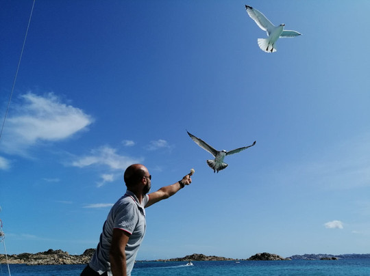 Goletta Silvia di Navarra-拉马达莱娜必去景点