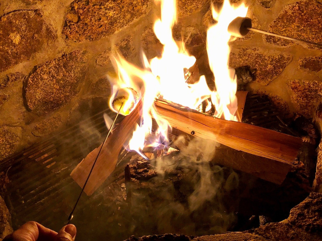 Bedford Landings Bed & Breakfast, LLC主图