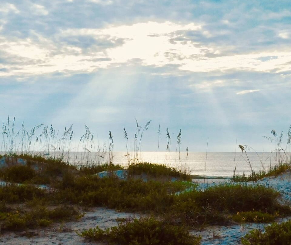 2nd Story Gallery And Studios-费尔南迪纳岛必去景点