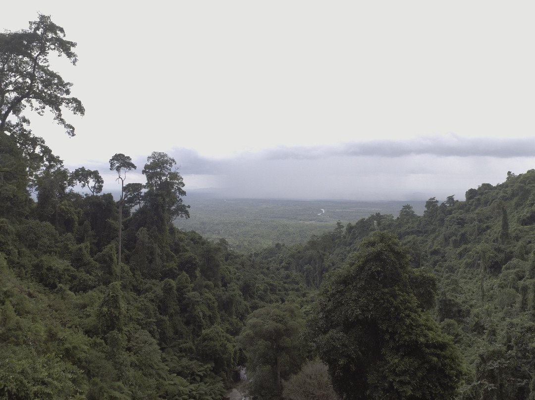 Jangkar Waterfalls-Lundu Town必去景点