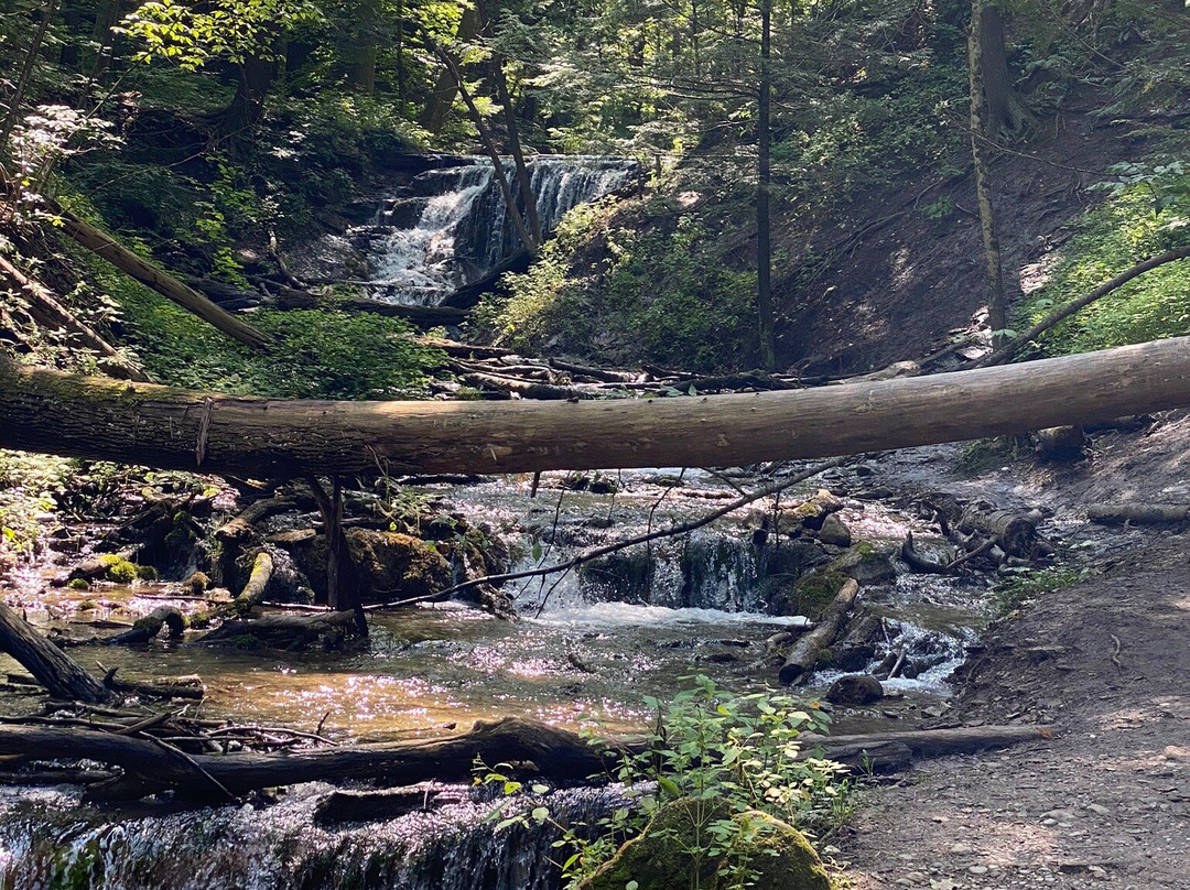 Harrison Park-Owen Sound必去景点