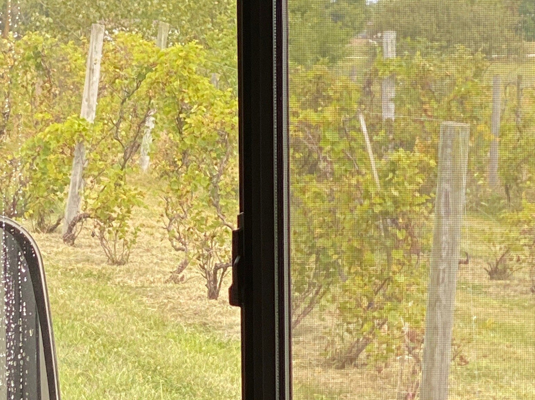 Madison County Winery-Markleville必去景点