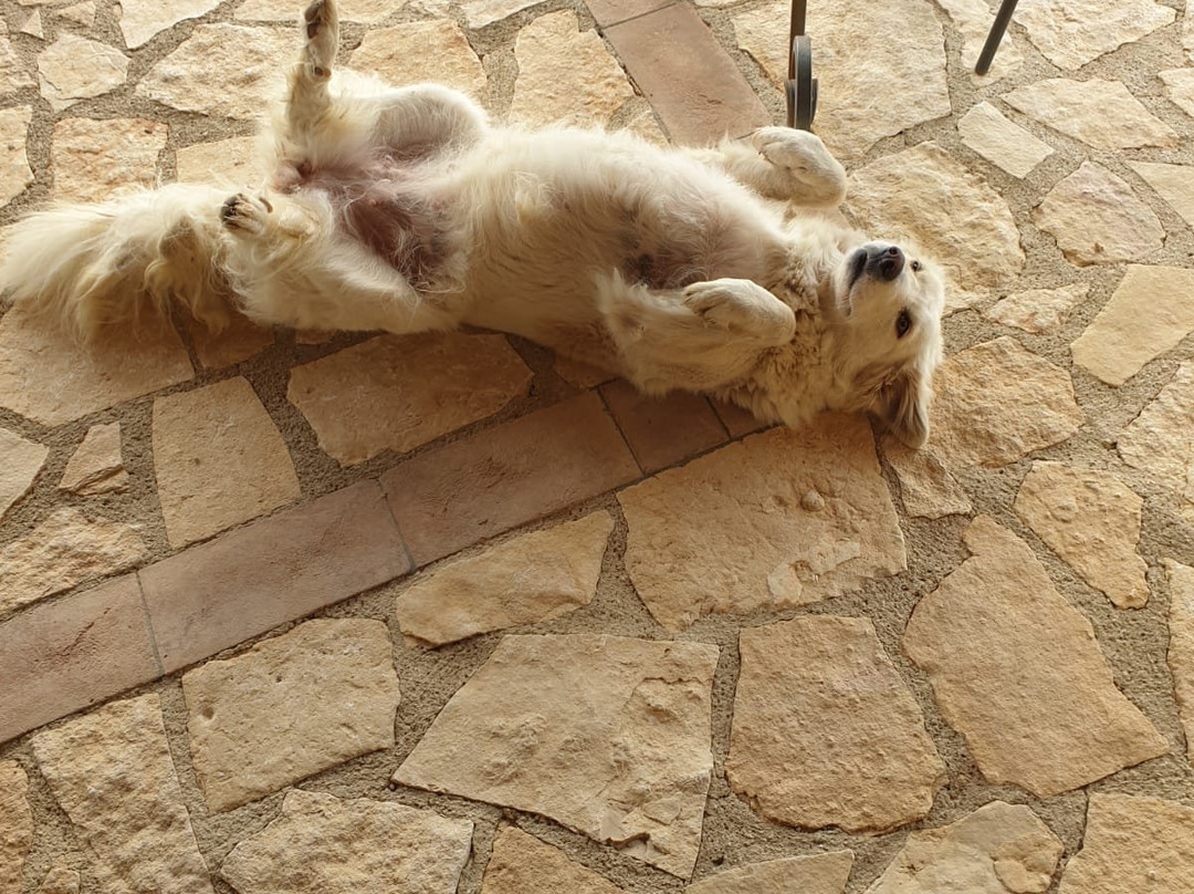 Agriturismo Poggio Mario主图