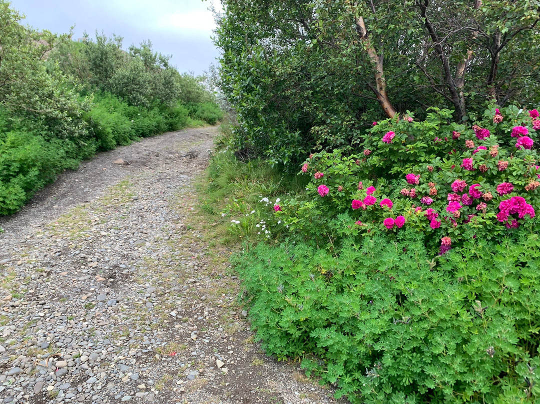 Borgarnes Watertower Viewpoint