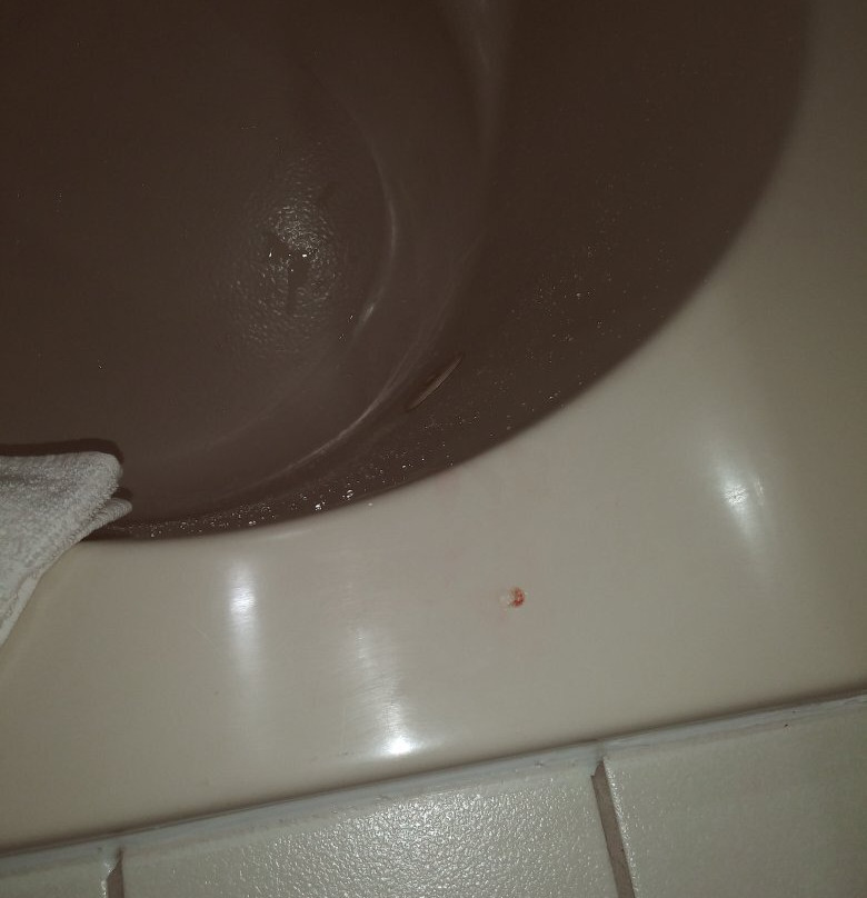 Travelodge by Wyndham Matteson主图