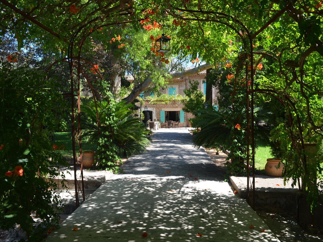 Finca Ca's Sant主图