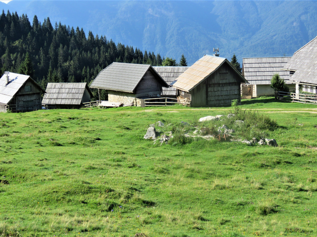Planina Zajamniki-Srednja vas v Bohinju必去景点