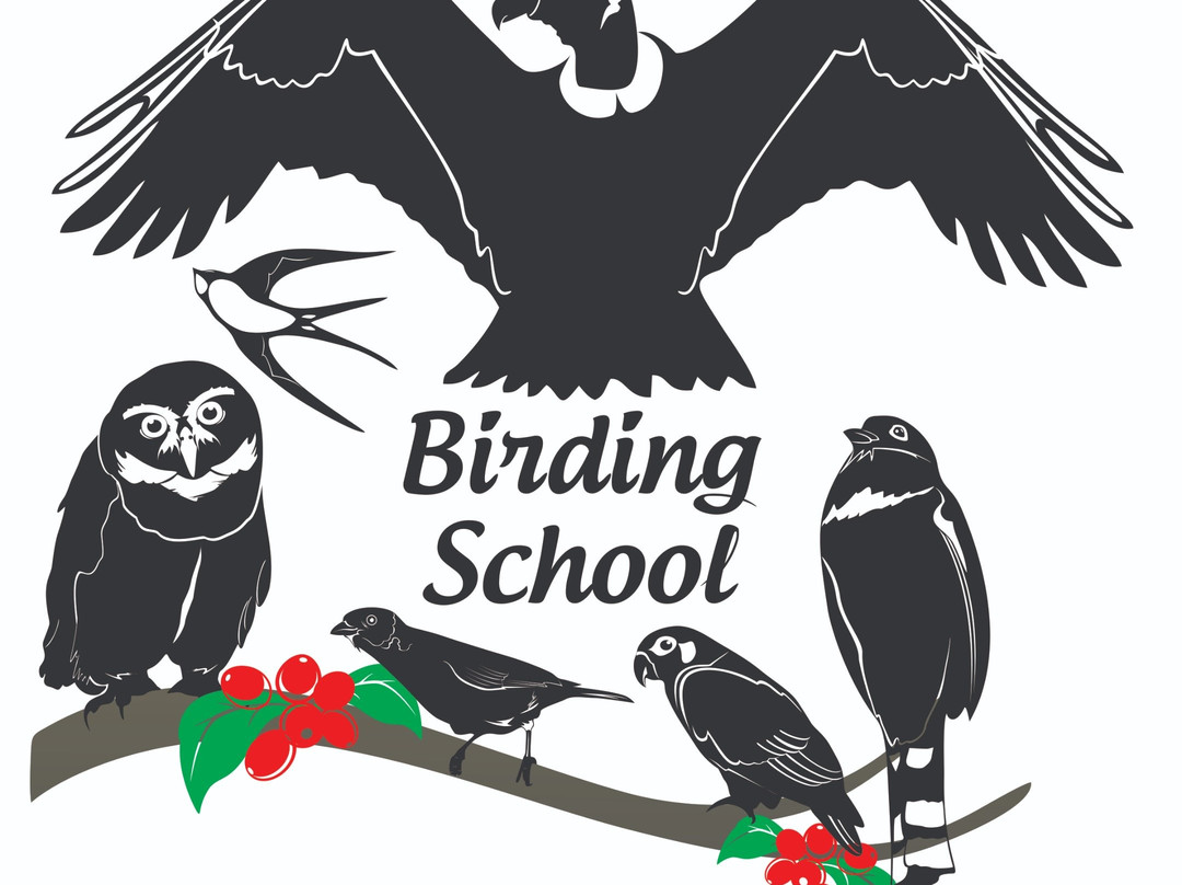 Pajareros Birding Tours-萨伦托必去景点