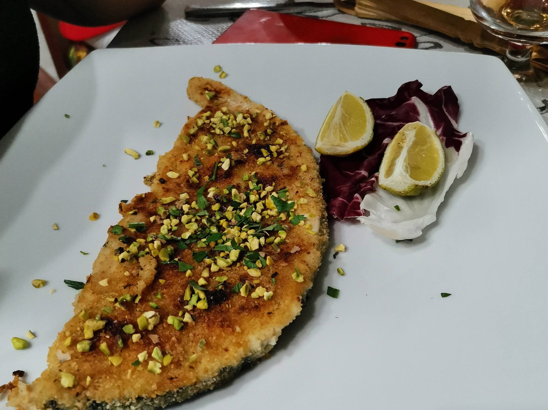 Fuori Rotta