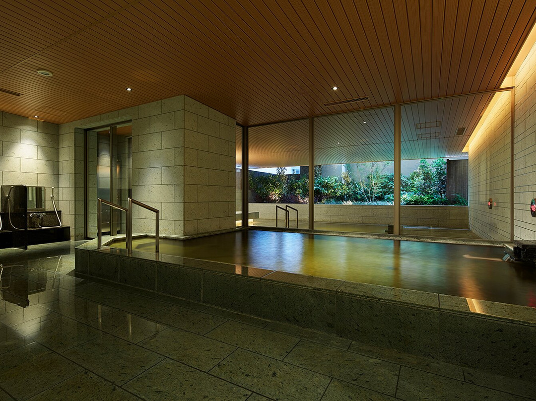 Mitsui Garden Hotel Kashiwa-no-ha主图