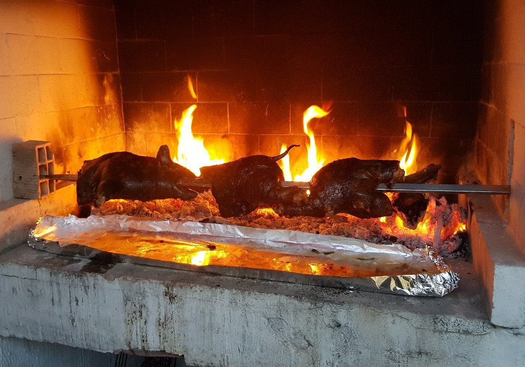 Green Gallery Hotel主图