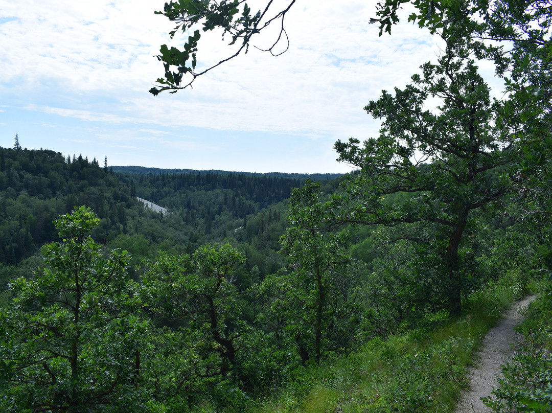 Bald Hill Trail景点图片