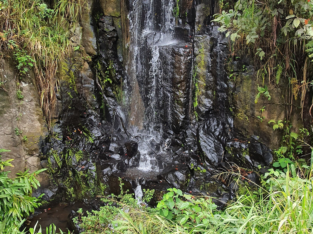 Serendipity Falls-Millaa Millaa必去景点
