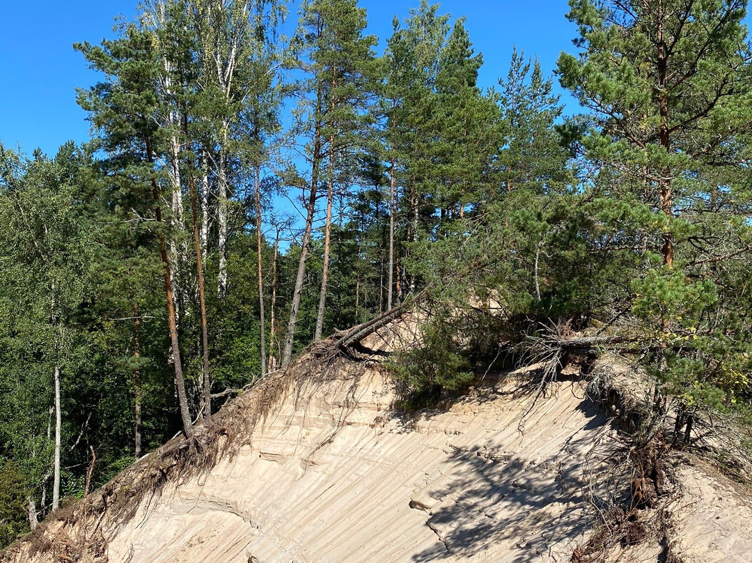 The White Dune of Pūrciems-Roja必去景点