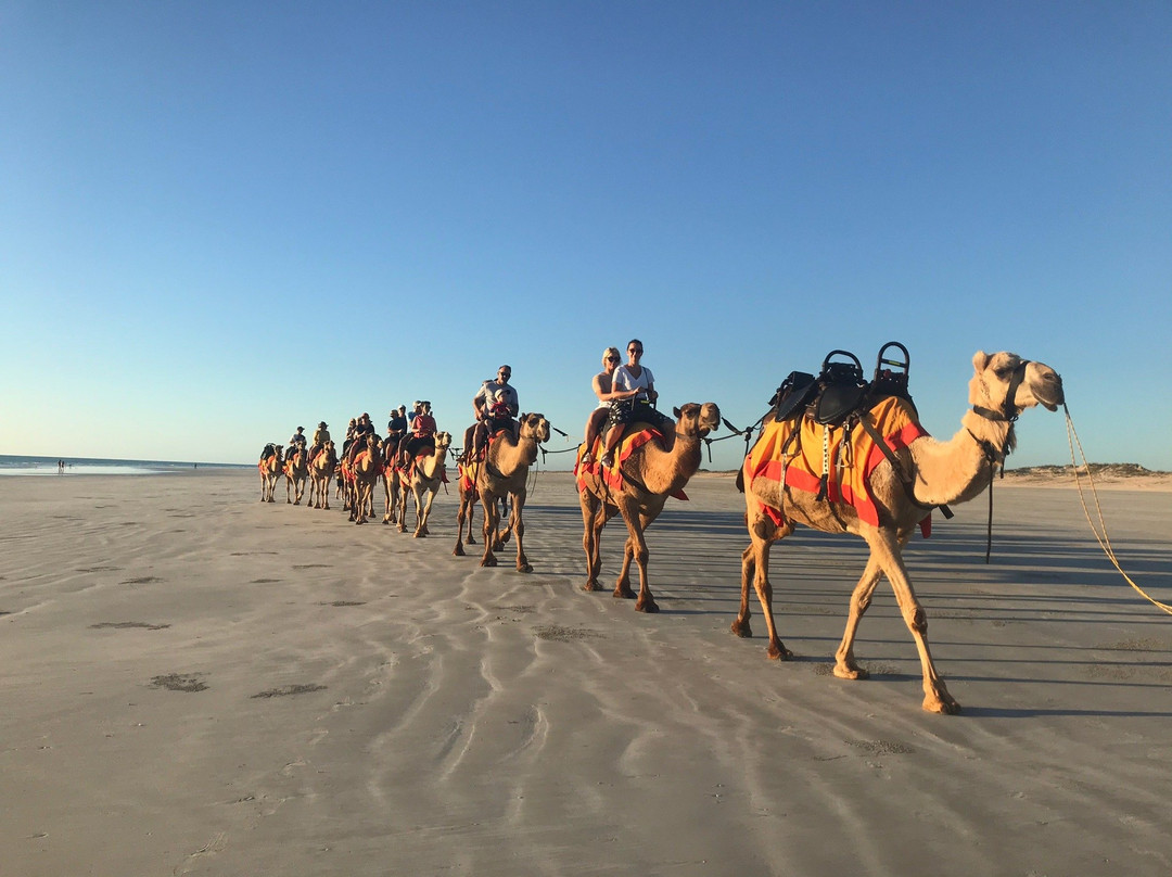 Cable Beach Camels景点图片