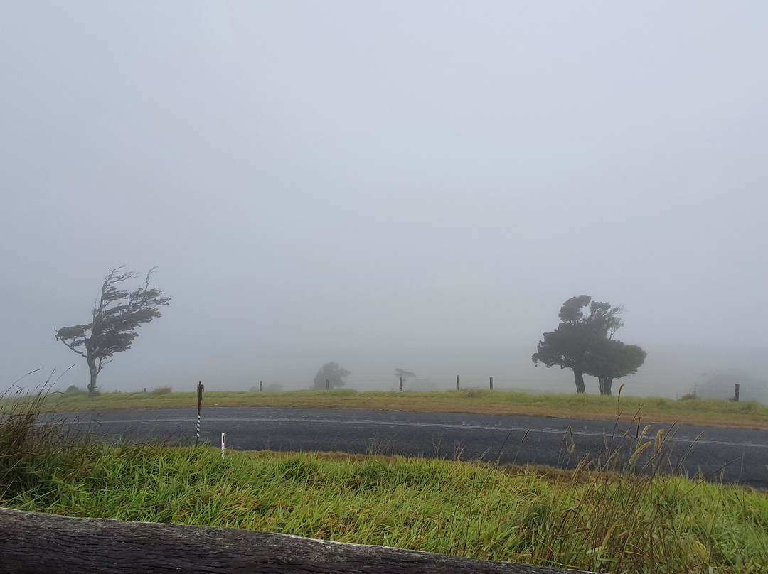 Windy Hill Wind Farm Viewing Area-Ravenshoe必去景点