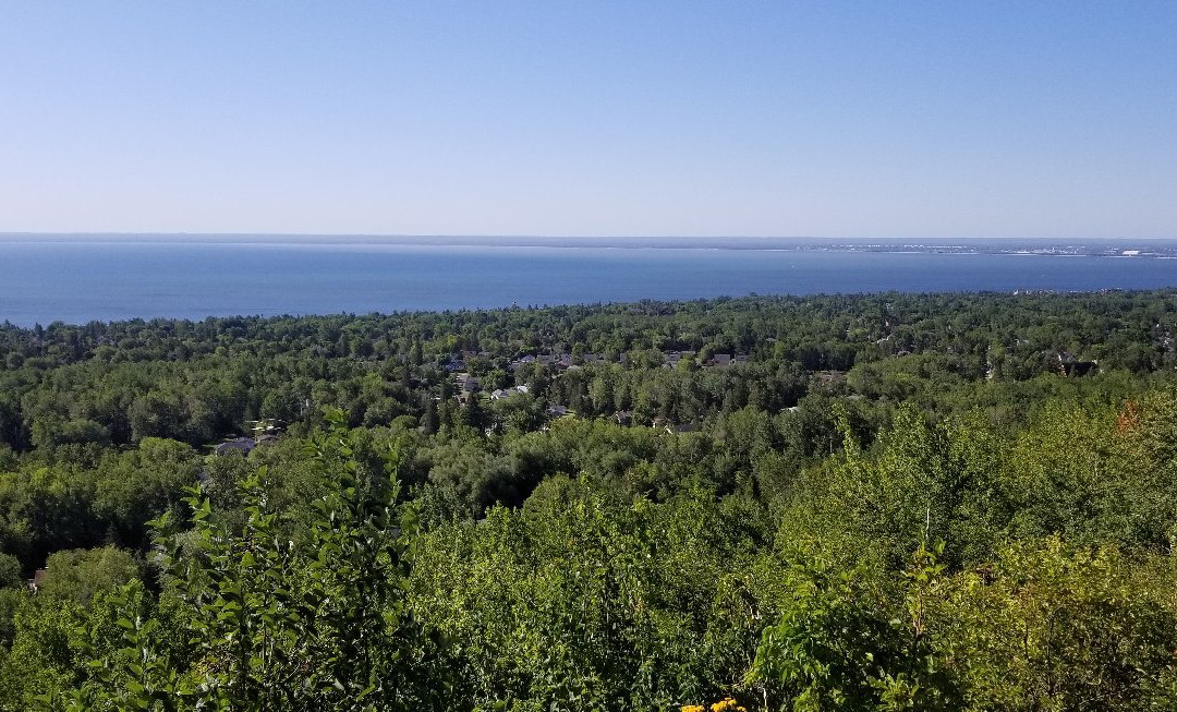Hawk Ridge Bird Observatory-德卢斯必去景点
