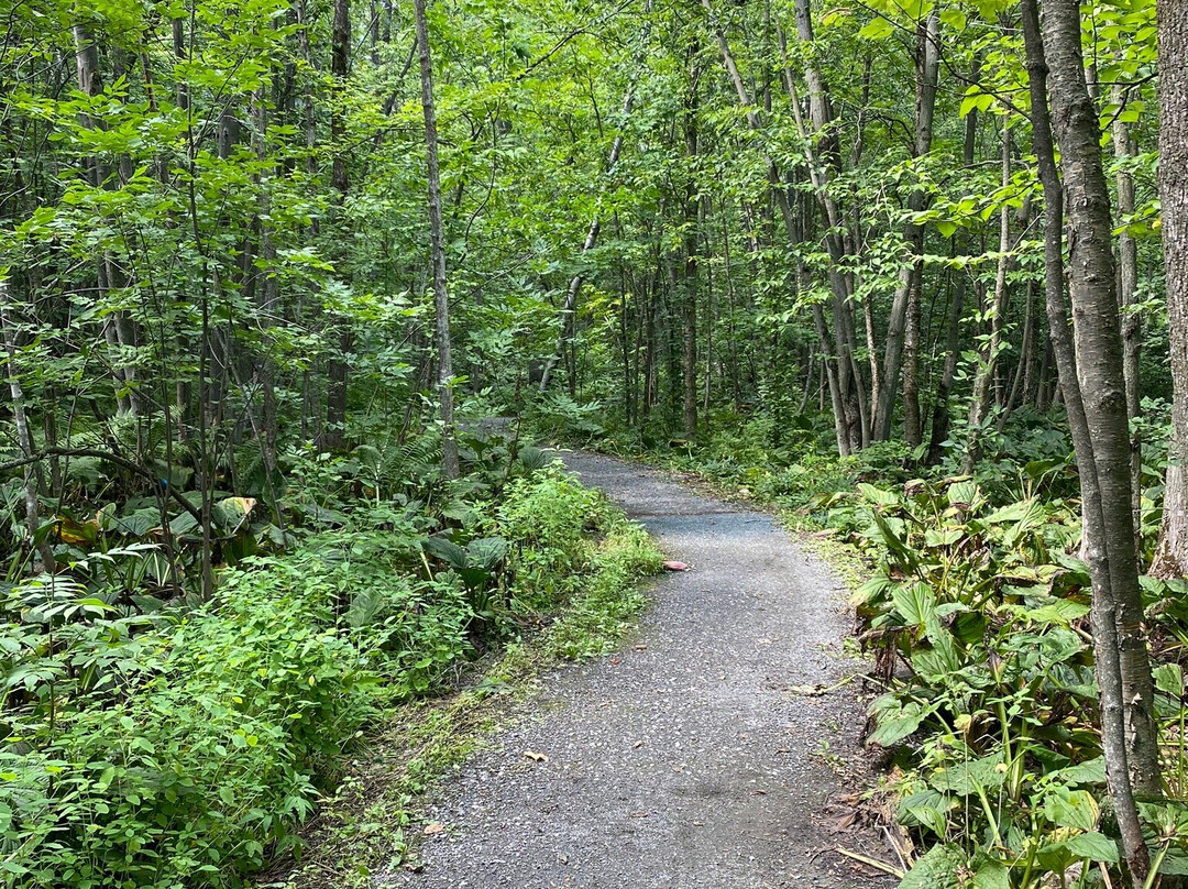 Godefroy Ecological Park景点图片