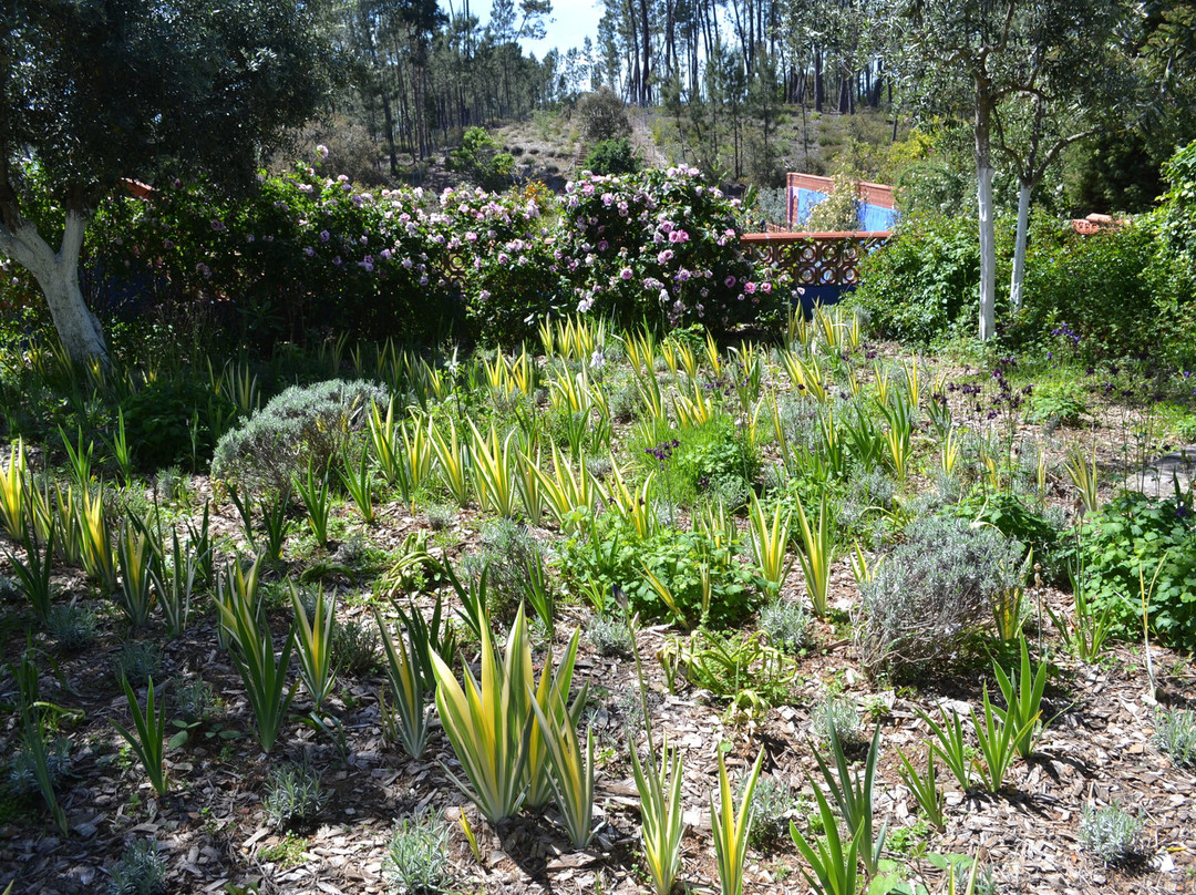 Les Jardins de la Quinta das Mil Flores景点图片