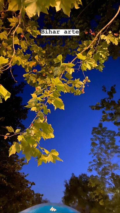 Camping Rio Puron-官方