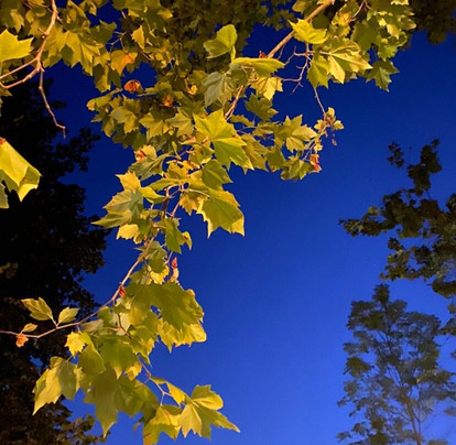 Camping Rio Puron主图