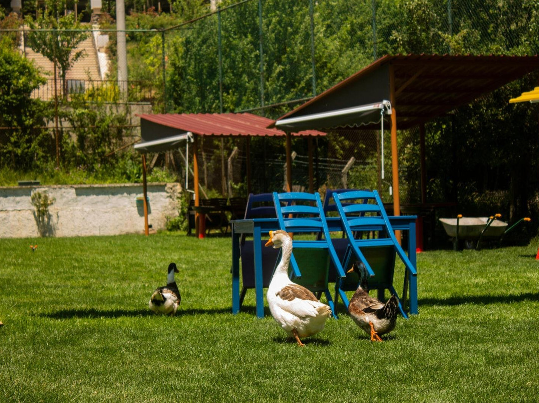 ABANT Bahceli Kosk主图