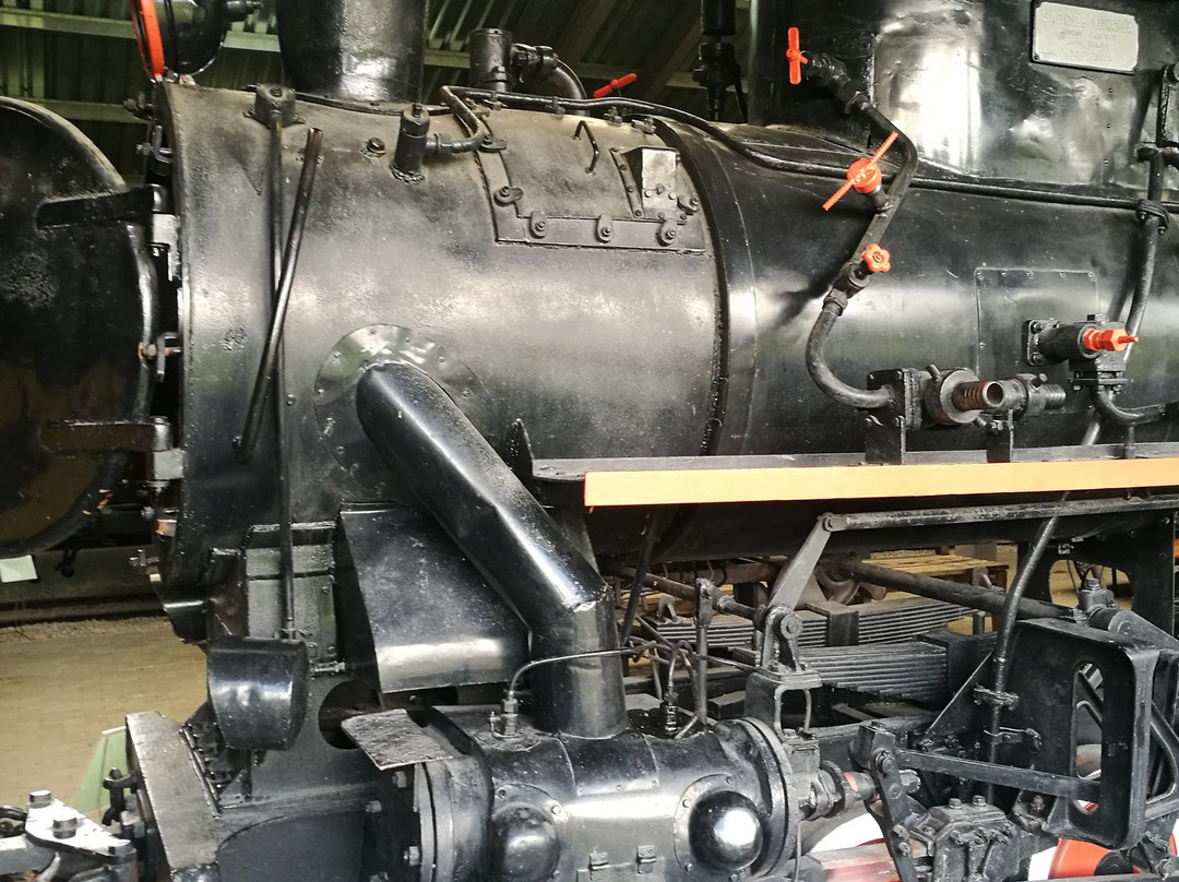Narrow-Gauge Railway Museum-阿尼克什奇艾必去景点