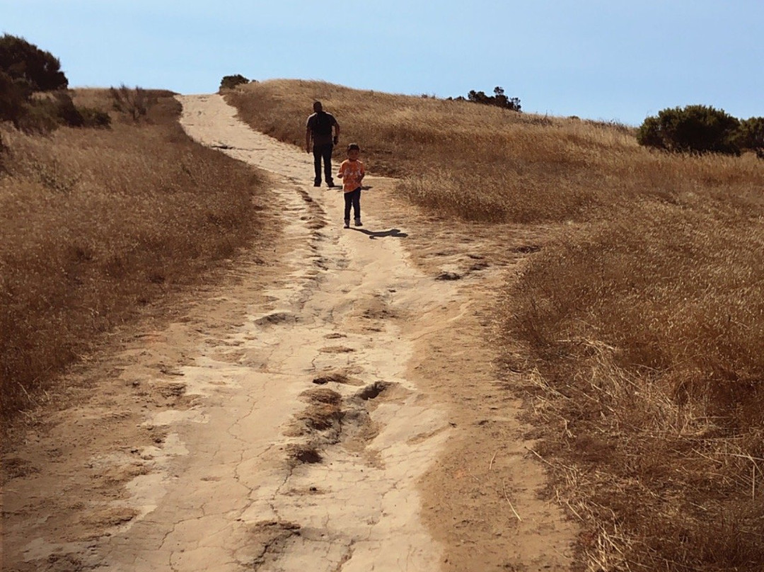 Laurelwood Park-圣马特奥必去景点