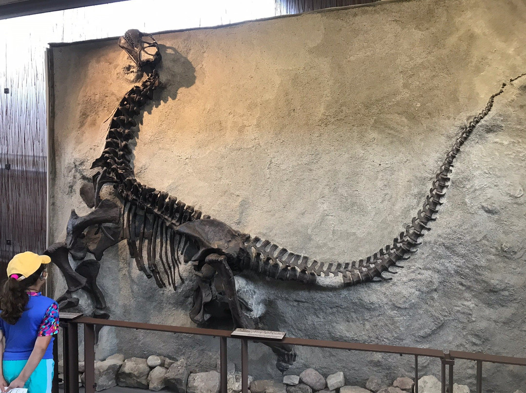 Dinosaur National Monument-Dinosaur必去景点