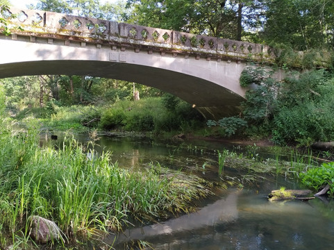 Nesterovsky District旅游攻略图片