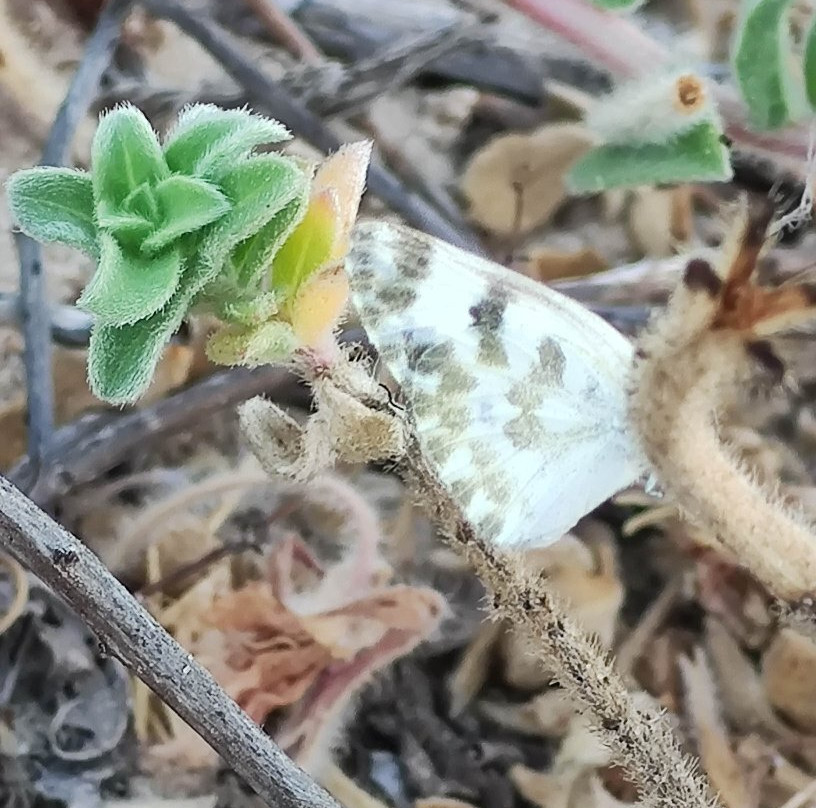 Ashdod Yam Park-阿什杜德必去景点