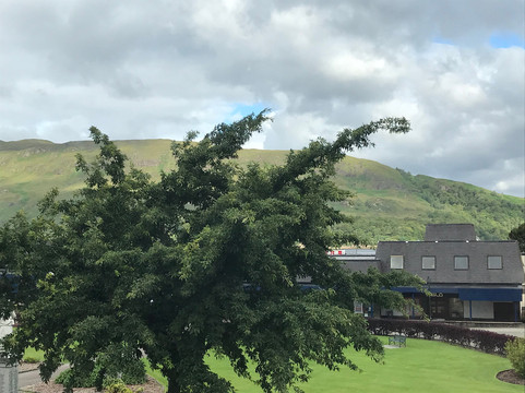 亚历山大酒店主图