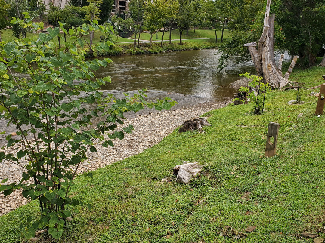 Maples Motor Inn主图