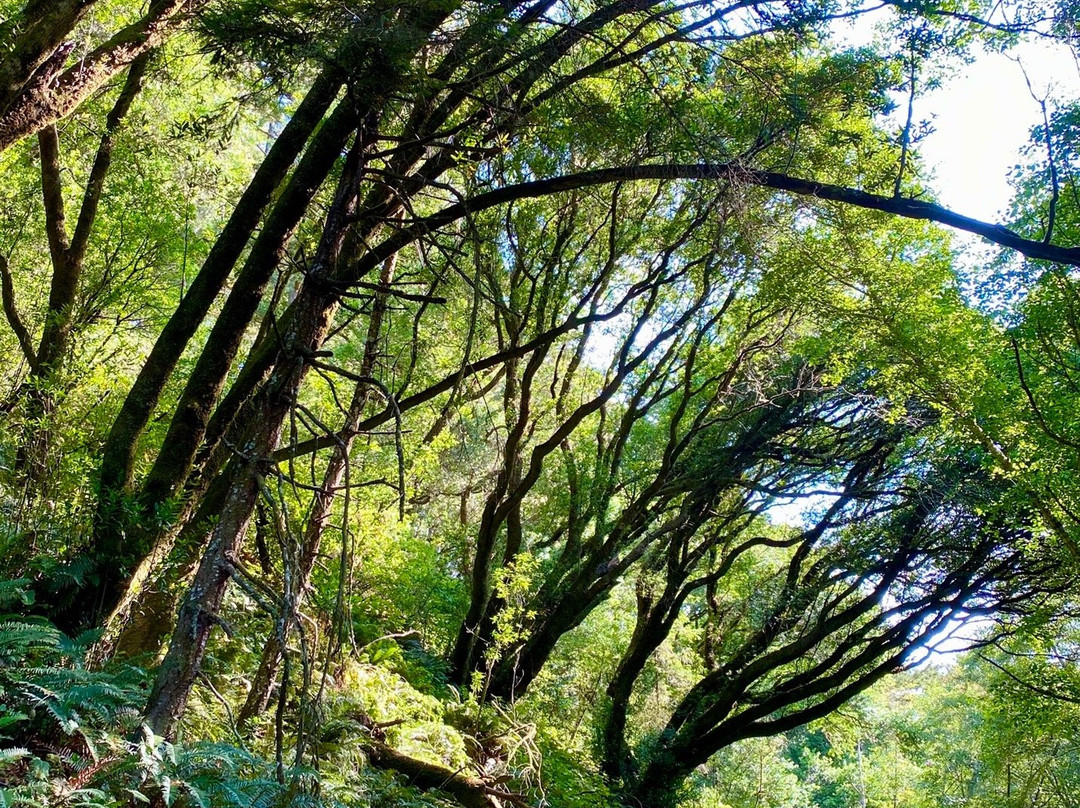 Point Reyes Hiking Trails景点图片